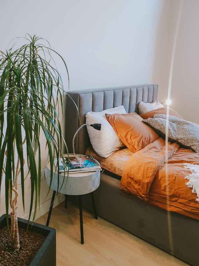 Priestranny Apartman V Centre Kosice Ngoại thất bức ảnh